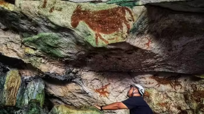 दुनिया के सबसे पुराने हाथ के निशान इंडोनेशिया की गुफाओं में मिले