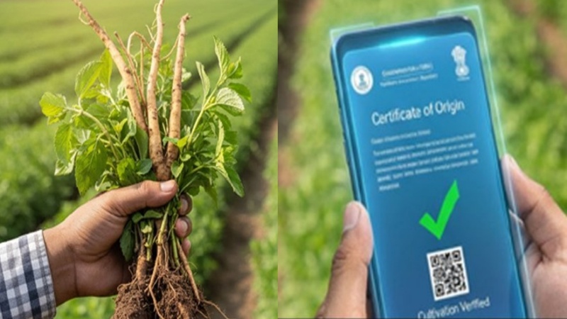 मूल प्रमाण पत्र के लिए डिजिटल पोर्टल से मिलेगा औषधीय पौधों की खेती को बढ़ावा