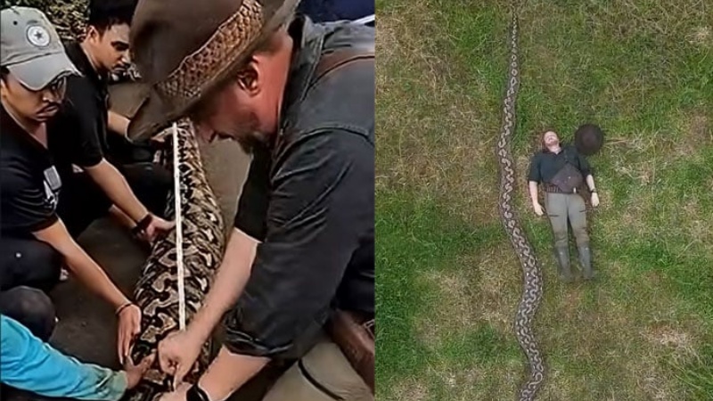 मुंबई हाईकोर्ट में सहयोग पोर्टल के खिलाफ कॉमेडियन कुणाल कामरा ने दायर की याचिका