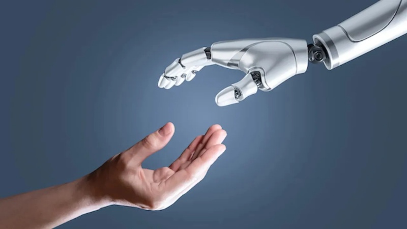 शिक्षण संस्थानों में मातृत्व लाभ अधिनियम के लागू होने के मामले में इलाहाबाद हाईकोर्ट ने जवाब मांगा