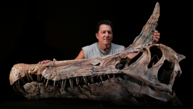 वैज्ञानिकों ने एक बहुत बड़े पक्षी जैसे डायनासोर का फॉसिल खोजा है