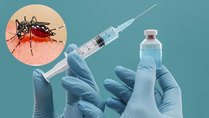 भारत में बन रही डेंगू वैक्सीन ‘डेंगीऑल’ ट्रायल के आखिरी फेज़ में